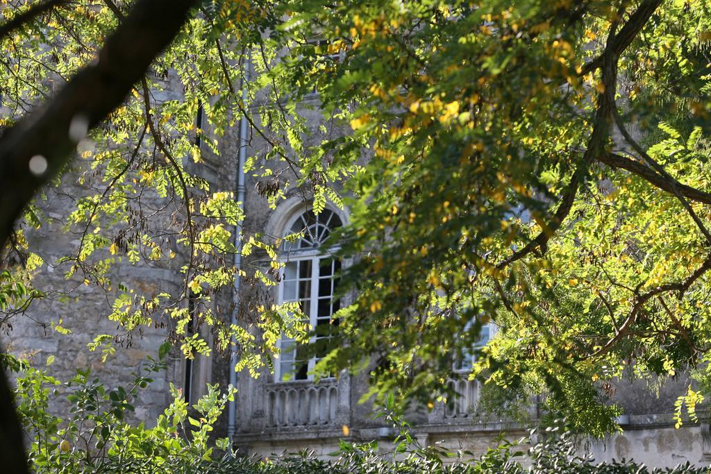 Chateau D'Agel Chambres D'Hotes Exterior photo